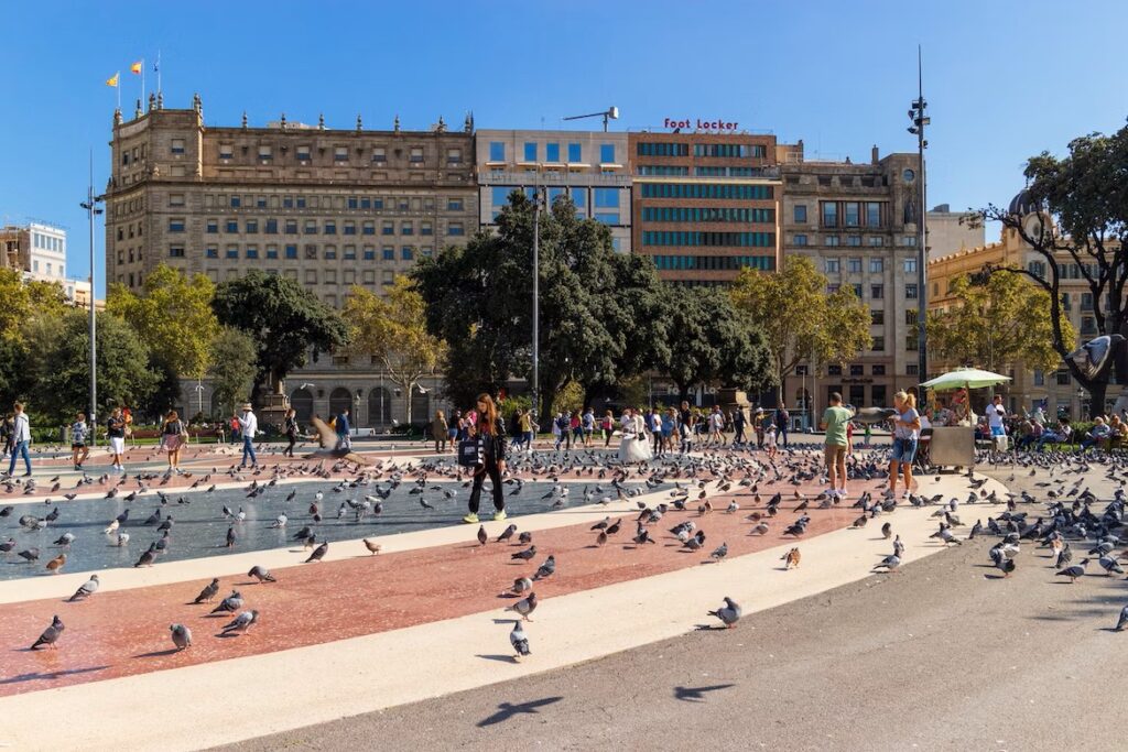 plein met duiven Barcelona
